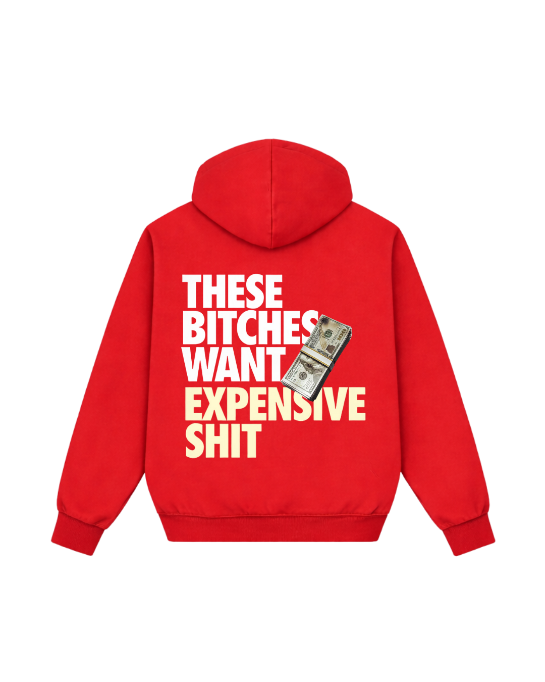 HASHWAY EXPENSIVE SHIT HOODIE - RED
