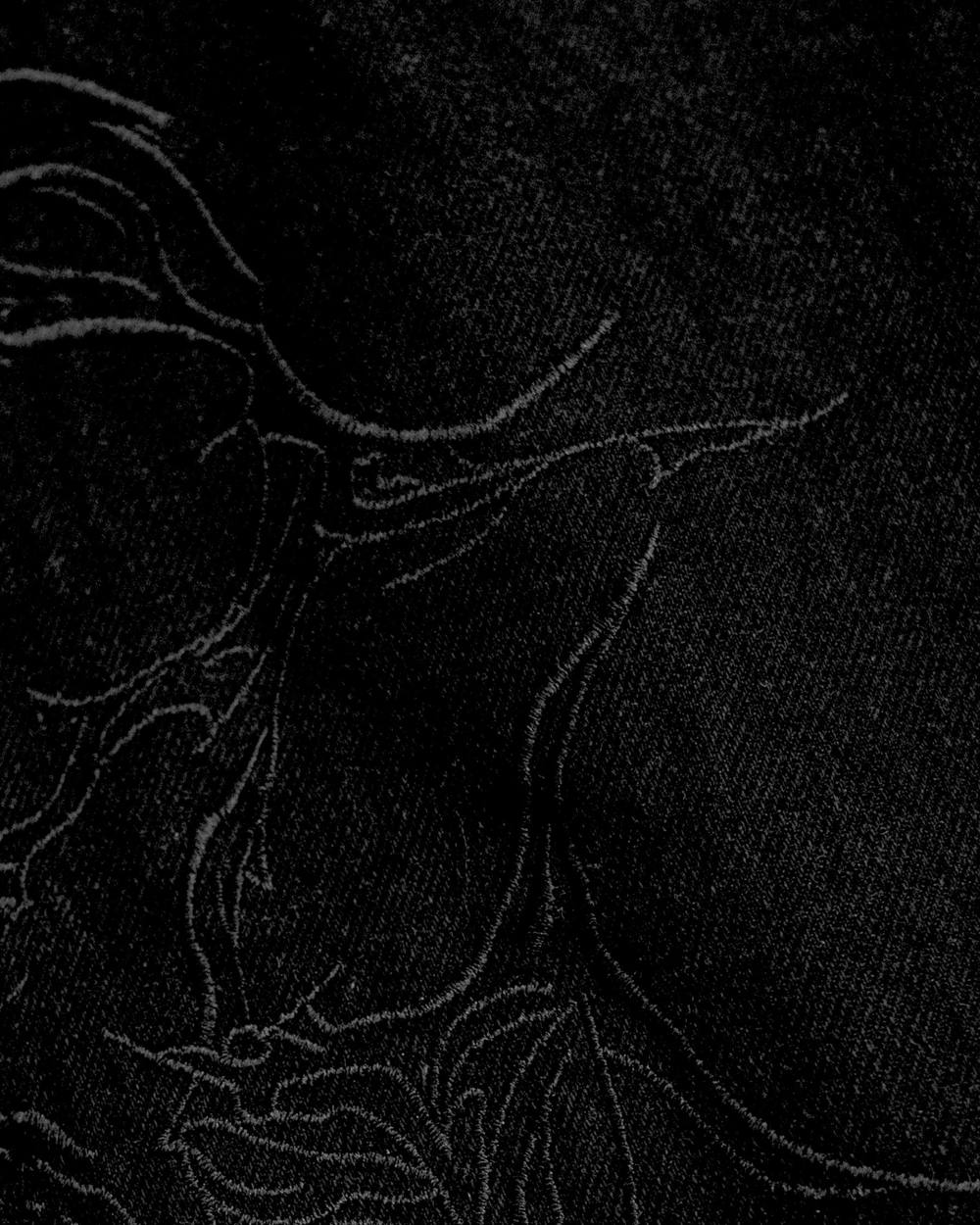 RAVEN EMBROIDERED WASHED DENIMS