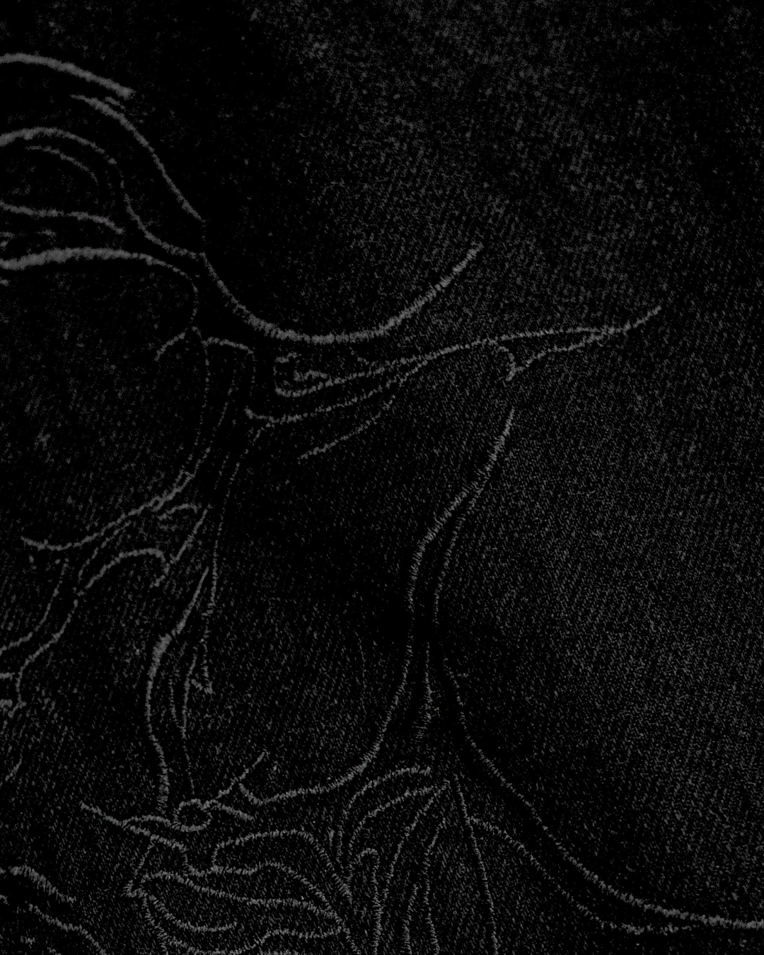 RAVEN EMBROIDERED WASHED DENIMS