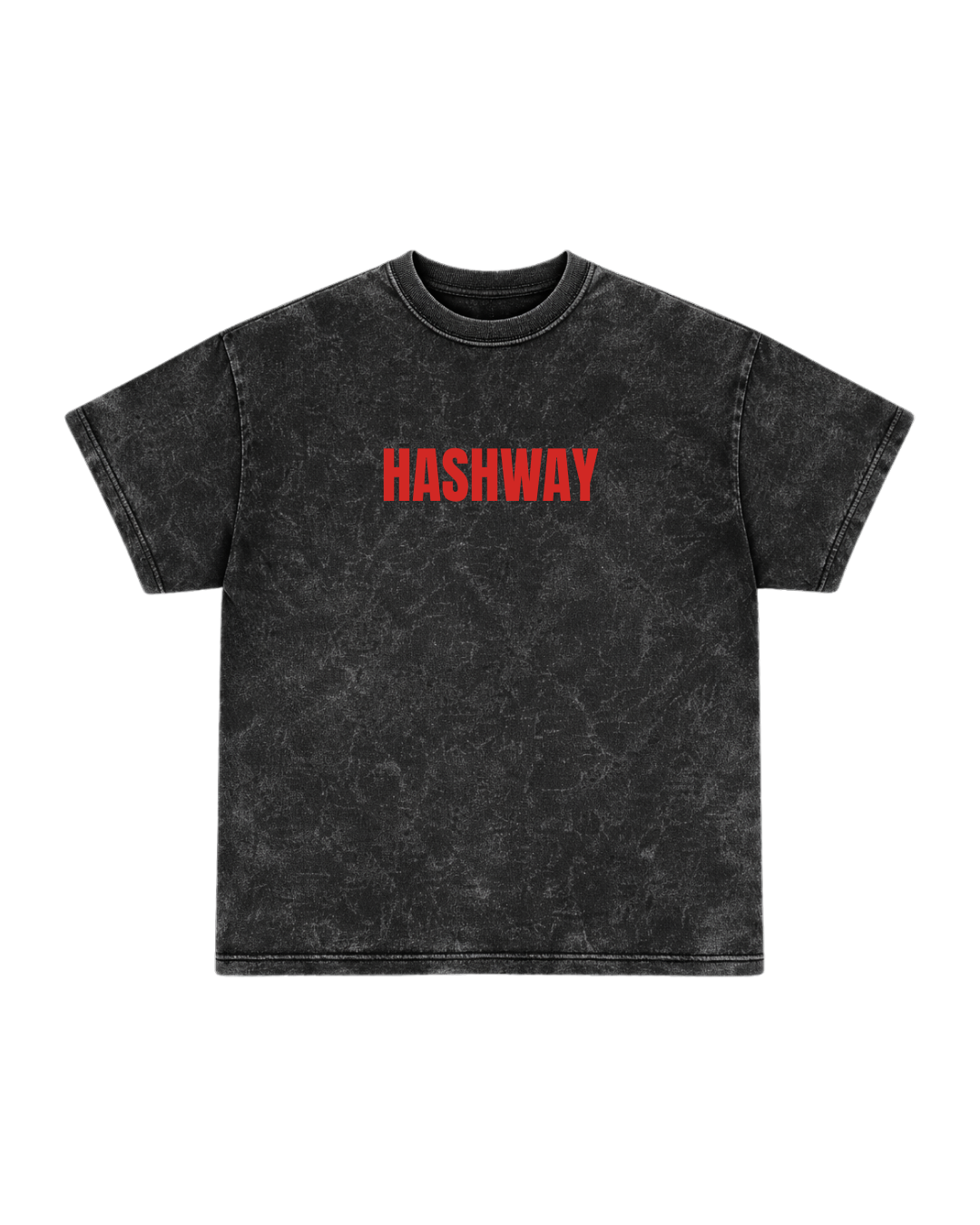 FLAT EARTH STATEMENT T-SHIRT