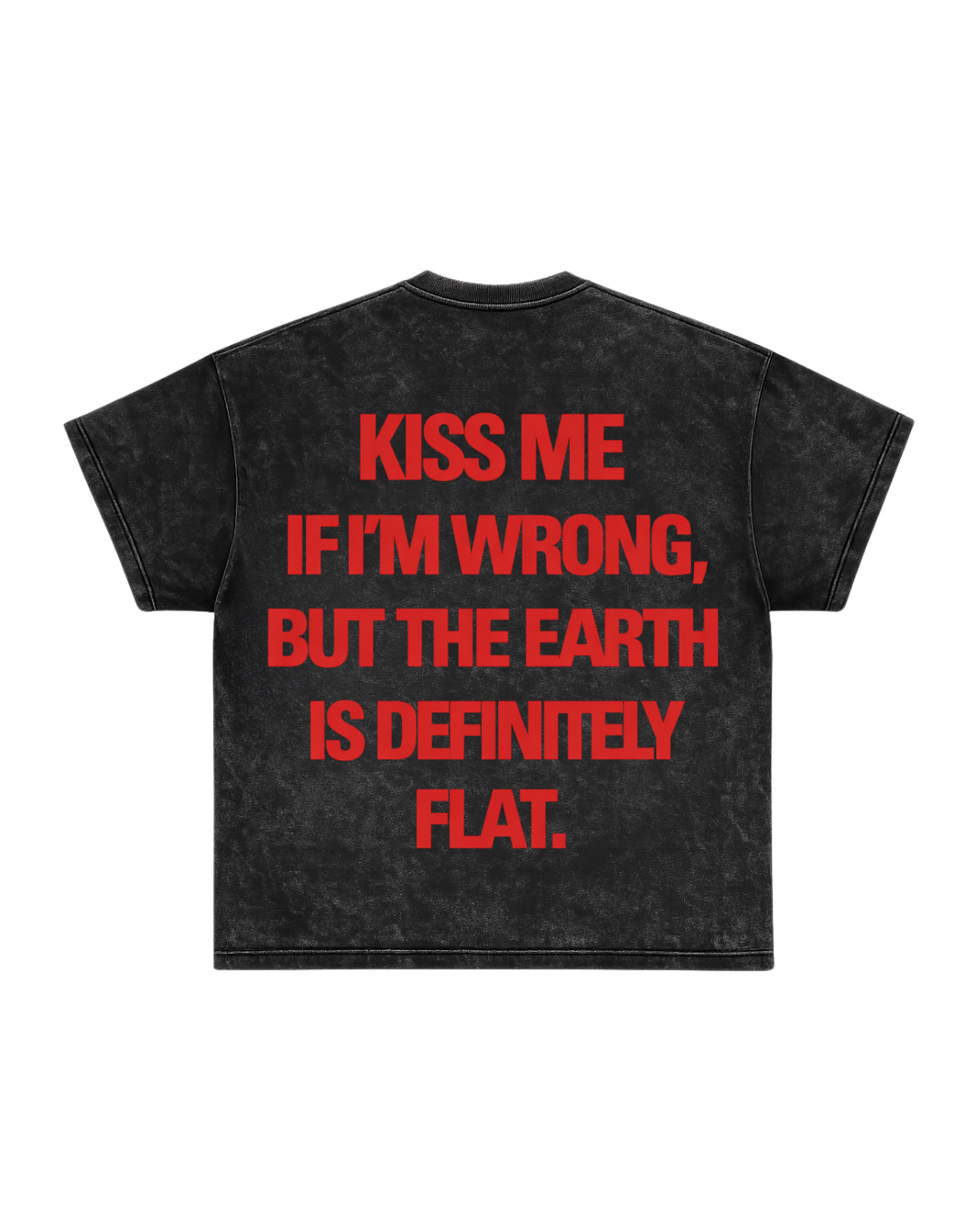 FLAT EARTH STATEMENT T-SHIRT